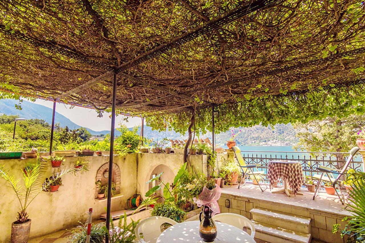 Villa Donkovic Kotor Exteriér fotografie